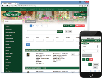 web-app-dev-ibm-i-screenshot